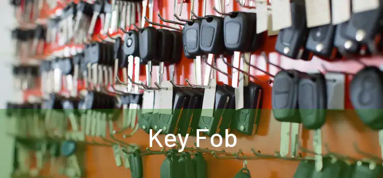  Key Fob 